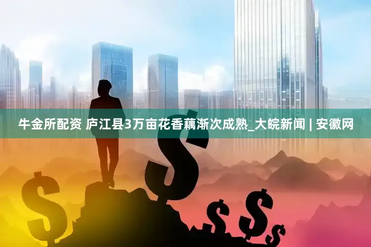 牛金所配资 庐江县3万亩花香藕渐次成熟_大皖新闻 | 安徽网
