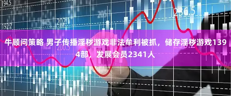 牛顾问策略 男子传播淫秽游戏非法牟利被抓，储存淫秽游戏1394部，发展会员2341人