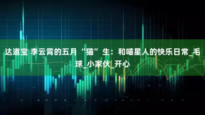 达道宝 李云霄的五月 “猫” 生：和喵星人的快乐日常_毛球_小家伙_开心