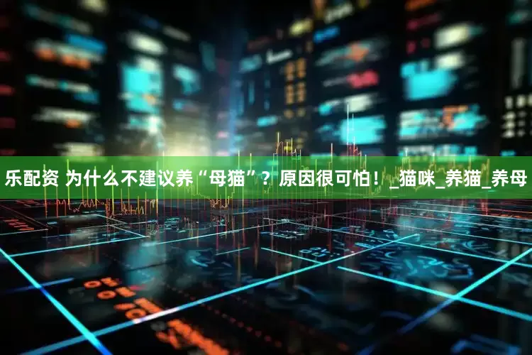 乐配资 为什么不建议养“母猫”？原因很可怕！_猫咪_养猫_养母