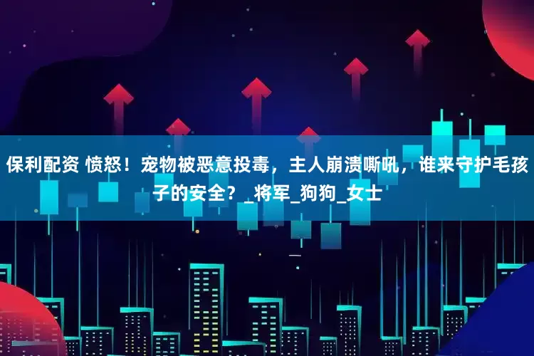 保利配资 愤怒！宠物被恶意投毒，主人崩溃嘶吼，谁来守护毛孩子的安全？_将军_狗狗_女士