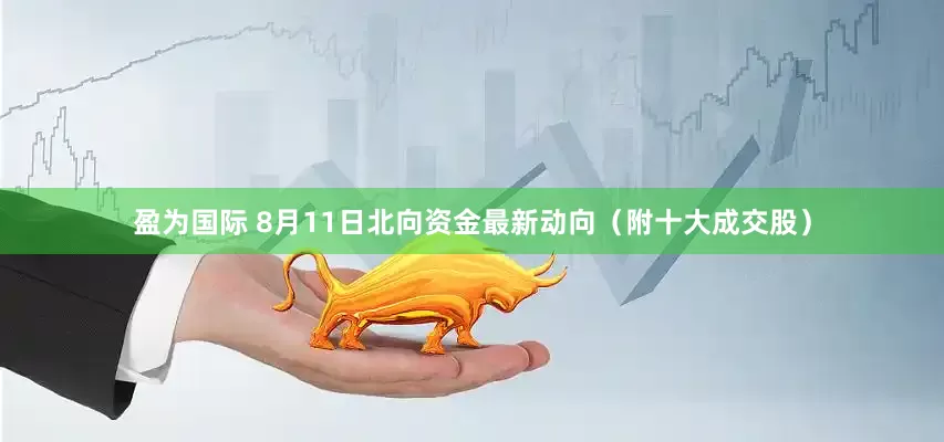 盈为国际 8月11日北向资金最新动向（附十大成交股）