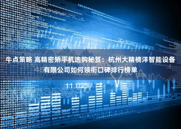 牛点策略 高精密矫平机选购秘笈：杭州大精楠洋智能设备有限公司如何领衔口碑排行榜单