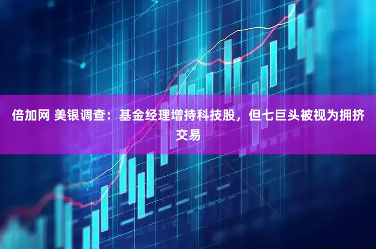 倍加网 美银调查：基金经理增持科技股，但七巨头被视为拥挤交易